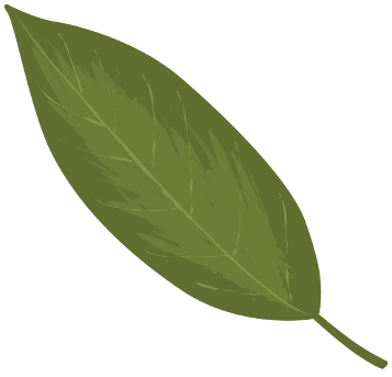 decorative leaf